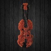 Violin