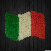 Italy Flag