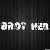 Big Bro - BRO17