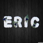 Eric - NAL4