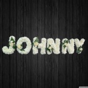 Johnny 2 - NAL5