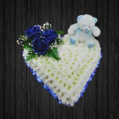 Ted - HEA118
