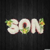 Heavenly - SON24