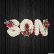 Forever Loved - SON26