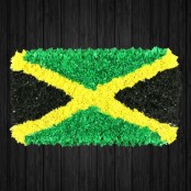 Jamaica Flag