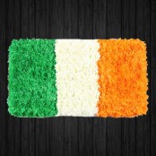 Irish Flag