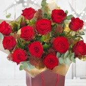 Christmas Red Roses