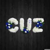 Cuz 3 - NAL13