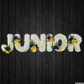 Junior - NAL23