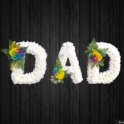 Rainbow Dad - DAD74