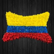 Colombia Flag