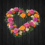 Bold Brights Heart - HEA140