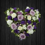 Lovely Lilac - HEA142