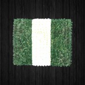 Nigeria Flag