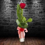 Single Red Rose & Vase