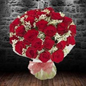 24 Red Roses & Gypsophila