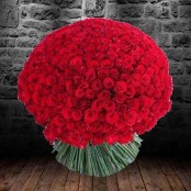 300 Red Roses? Give It To Her!