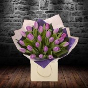 Purple Tulips