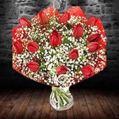 Red Tulips