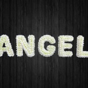 Angel - NAL76