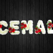 Cemal - NAL77