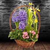 Soft Scented Basket