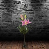 Pink Lily & Vase