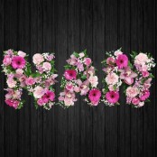 Pink Orchids Mix - NAN63