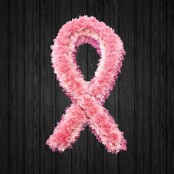 Breast Cancer Ribbon