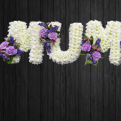 Lilac Carnation - MUM119
