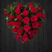Rosa Ecuador - HEA208