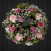 Celebrating Life - WRE176