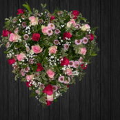 Lasting Love - HEA210