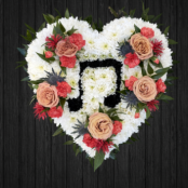 Musical Heart - HEA213