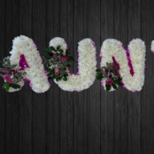 Daisies - AUN26